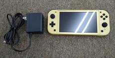 SWITCH LITE|NINTENDO