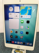 IPAD MINI (第5世代) CELLULAR|APPLE/SIMフリー(SOFTBANK系販売)