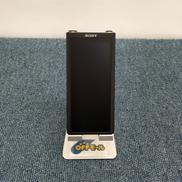 SONY NW-ZX300G|SONY