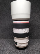 EF70-300mm F4-5.6L IS USM|CANON