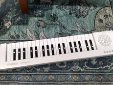 SHS-300WH|YAMAHA