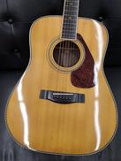 アコースティックギター|YAMAHA