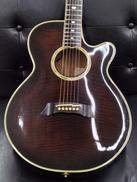 エレアコ|TAKAMINE