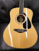 アコースティックギター|YAMAHA