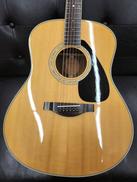 アコースティックギター|YAMAHA