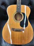 アコースティックギター|ARIA