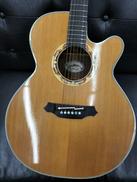LTD2001|TAKAMINE