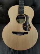 J-300AII COMPACT|JAMES