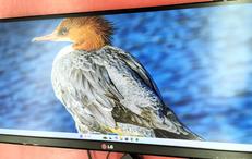 液晶モニター|LG