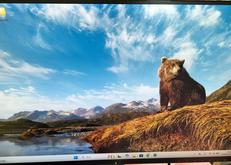 液晶モニター|EIZO