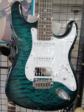 エレキギター|HISTORY