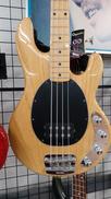 エレキベース|ERNIE BALL