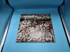 LP盤 邦楽|EPIC RECORDS