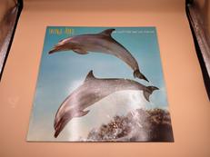 LP盤 洋楽|POLYDOR