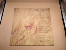 EP盤 洋楽|FORCE & FORM