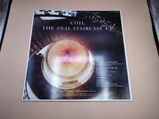 EP盤 洋楽|FORCE & FORM