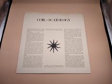 LP盤 洋楽|FORCE & FORM