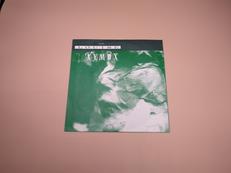 7インチ盤 洋楽|4AD
