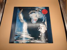 LP盤 洋楽|POLYDOR