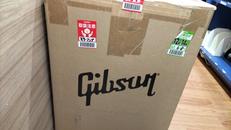 Falcon 20 1x12 Combo|GIBSON