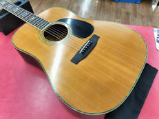 アコースティックギター|MORRIS