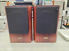 TANNOY / D100(ローズウッド)|TANNOY