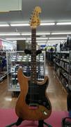 エレキギター|FENDER USA