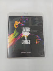 鬼束ちひろ LIVING WITH A GHOST|ビクターエンタテインメント