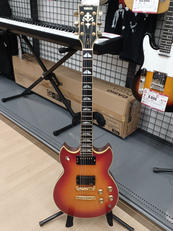 ヤマハ　SG ジャンク 2025年最新】Yahoo!オークション -yamaha sg ジャンクの中古品
