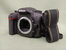 デジタル一眼レフ|NIKON