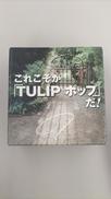 CD BOX　これこそが「TULIPポップ」だ!|VICTOR