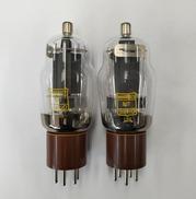 真空管 2本セット|DARIO