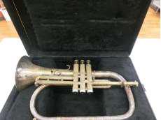 CAPRI BY GETZEN　コルネット|CAPRI BY GETZEN