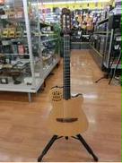 エレガットギター|GODIN