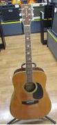 アコースティックギター|MORRIS
