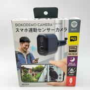 スマホ連動センサーカメラ|RITEX