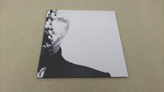 邦楽インディーズCD　gibkiy gibkiy gibki|PRAYING MANTIS RECORDS