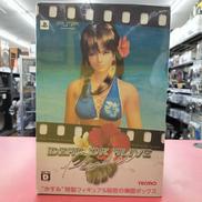 DEAD OR ALIVE Paradise