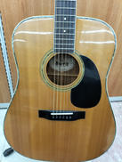 アコースティック|MORRIS