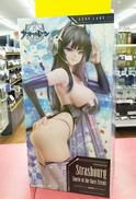 ☆未開封品☆フィギュア|FREEING