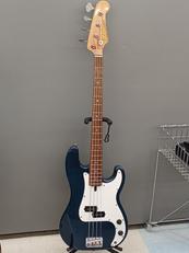 エレキベース|BRIAN