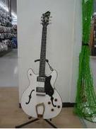 エレアコ|HAGSTROM