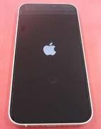 docomo iPhone12|APPLE