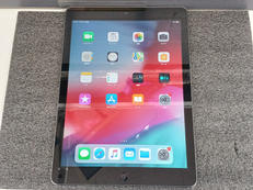 JUNK品iPad Air|APPLE