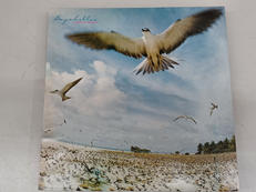 邦楽レコード|KITTY RECORDS