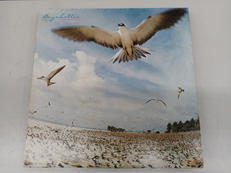 邦楽レコード|KITTY RECORDS