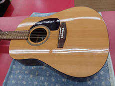 SEAGULL/M6 GLOSS|SEAGULL