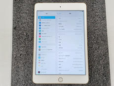 JUNKのipad mini4|APPLE