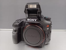 デジタル一眼レフ|SONY (2430万画素)