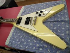 EDWARDS/E-FV SERIES|EDWARDS